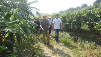 武东镇 组织参观学习百香果种植 销售等技术,加快推进乡村振兴产业发展